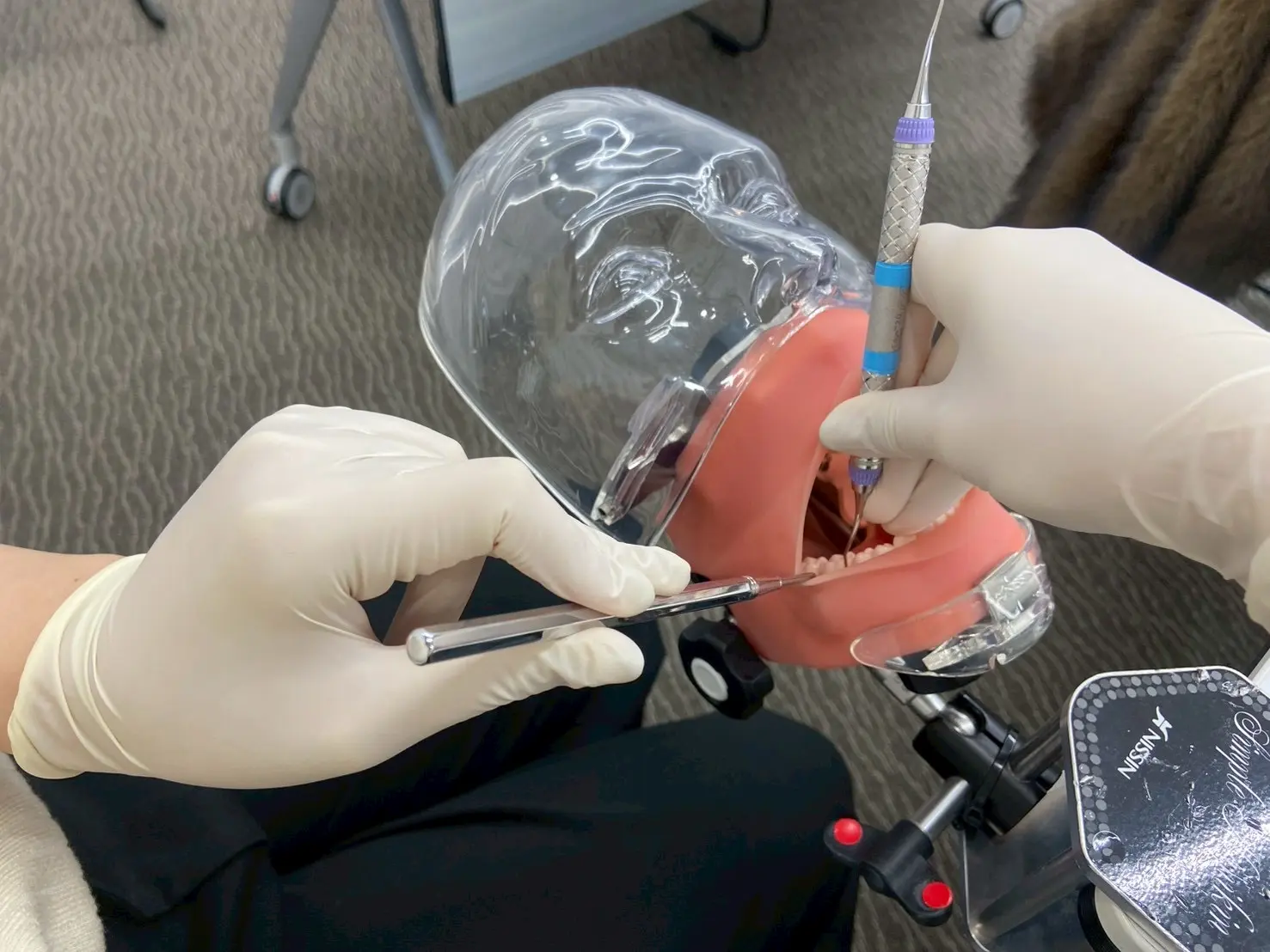 SRP実習 セミナーコラム 歯科衛生士コラム